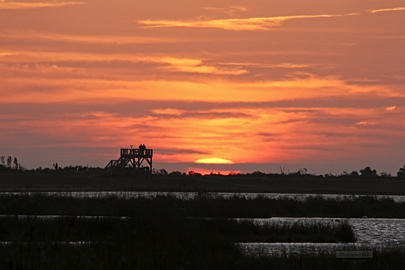 Pea Island NWR